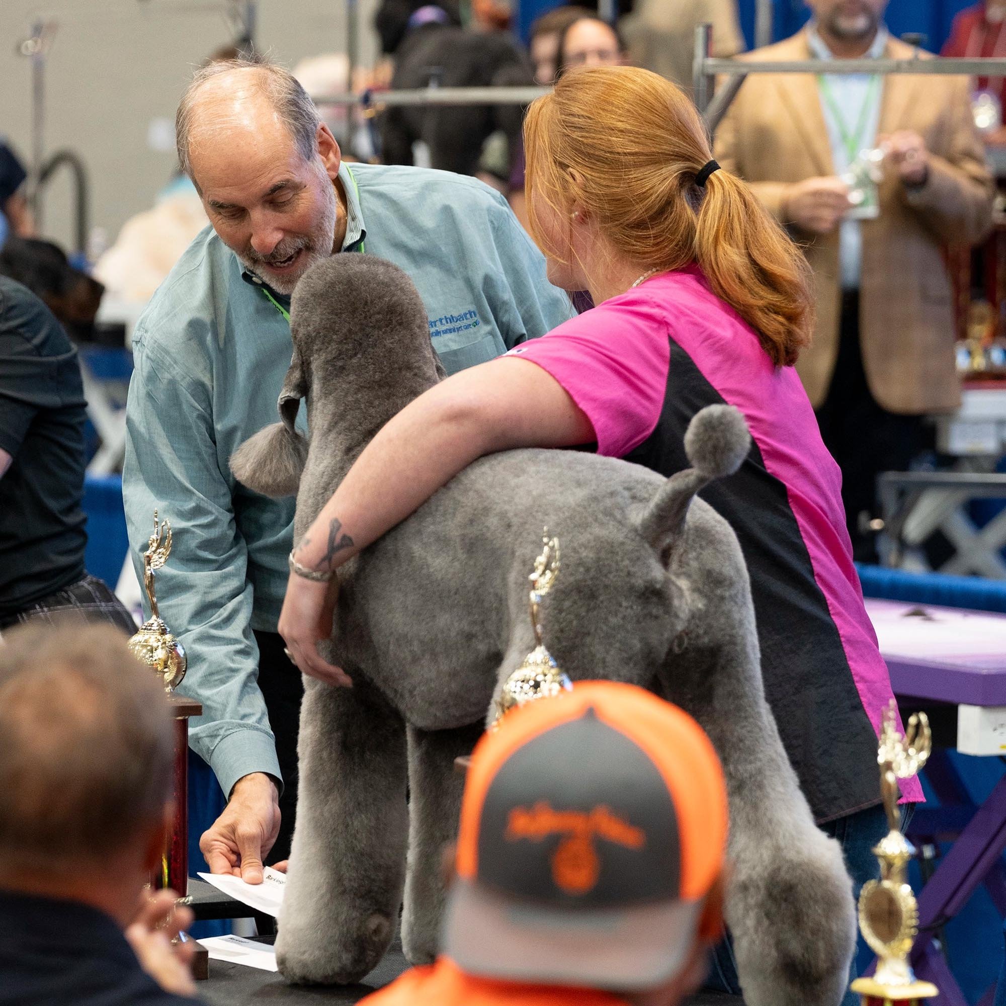 Pet Grooming Short Sleeve Top — Jodi Murphy Grooming Products